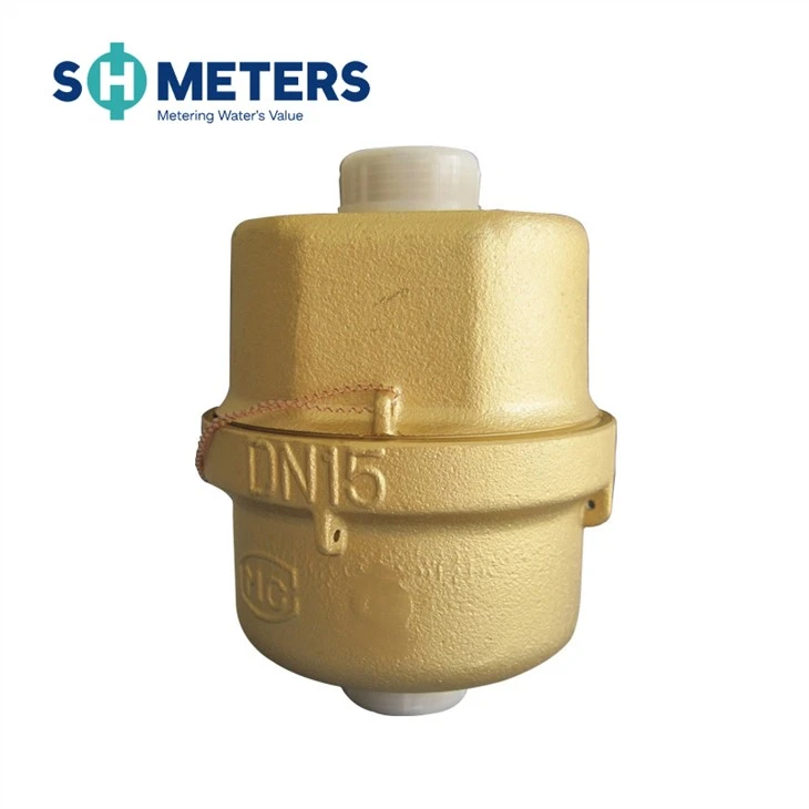 Dn15-25 Piston Volumetric Water Meter With R160 Class C Water Meter Dn15-25 Piston Volumetric Water Meter With R160 Class C Water Meter