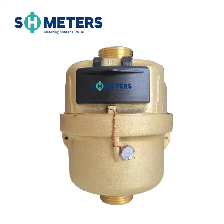 Dn15-25 Piston Volumetric Water Meter With R160 Class C Water Meter Dn15-25 Piston Volumetric Water Meter With R160 Class C Water Meter