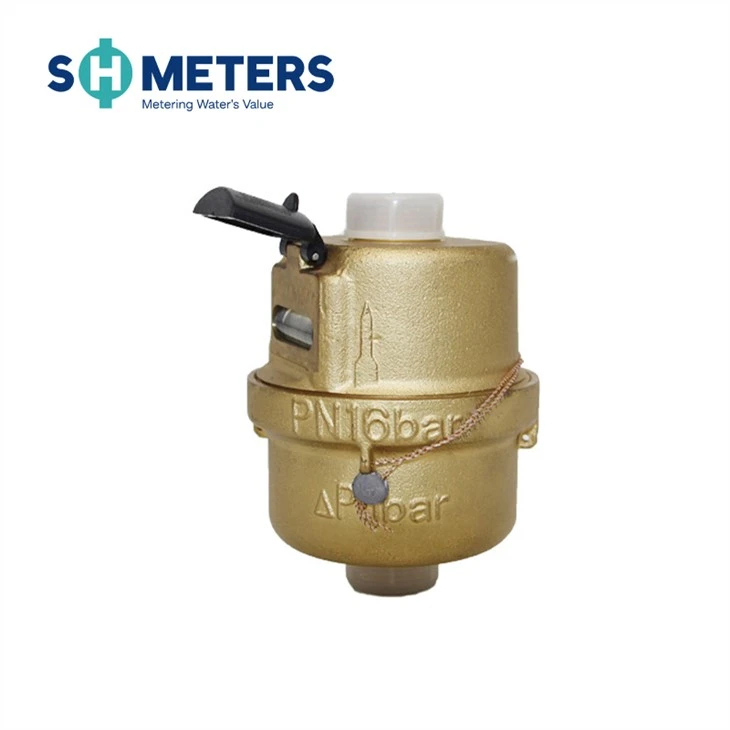 Dn15-25 Piston Volumetric Water Meter With R160 Class C Water Meter Dn15-25 Piston Volumetric Water Meter With R160 Class C Water Meter