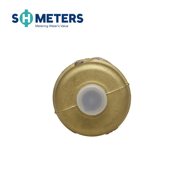 Dn15-25 Piston Volumetric Water Meter With R160 Class C Water Meter Dn15-25 Piston Volumetric Water Meter With R160 Class C Water Meter